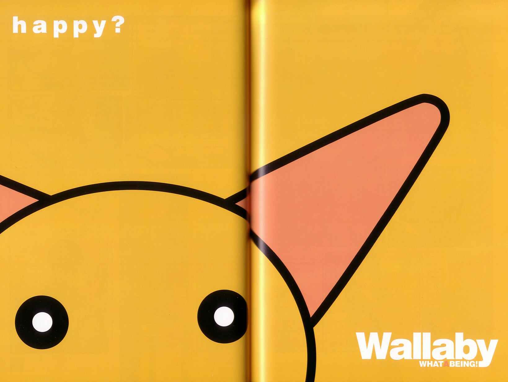 Page 1 Chapter 6 Wallaby
