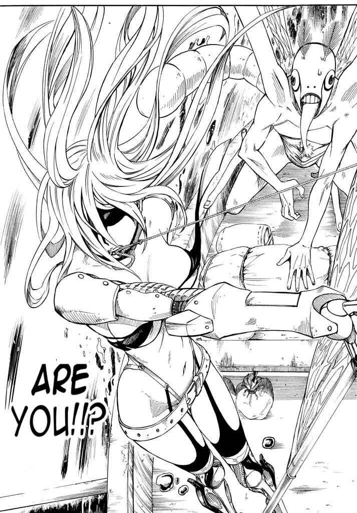 Page 17 Chapter 3 Mad Chimera World