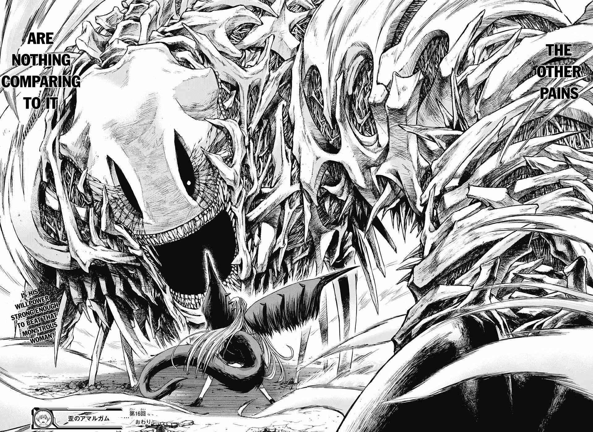 Page 20 Chapter 16 Amalgam of Distortion