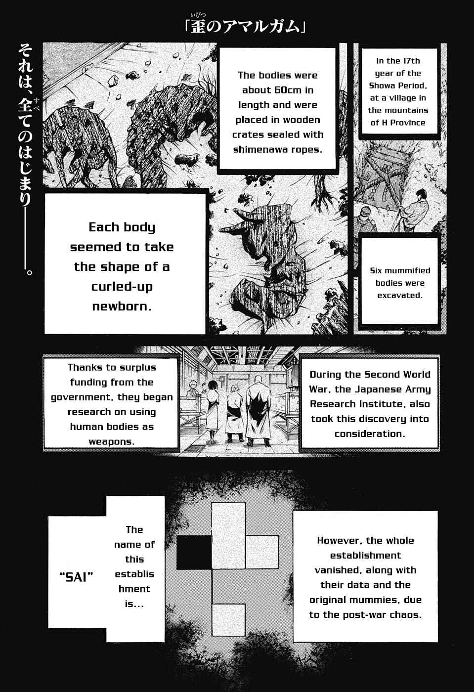 Page 2 Chapter 2 Amalgam of Distortion