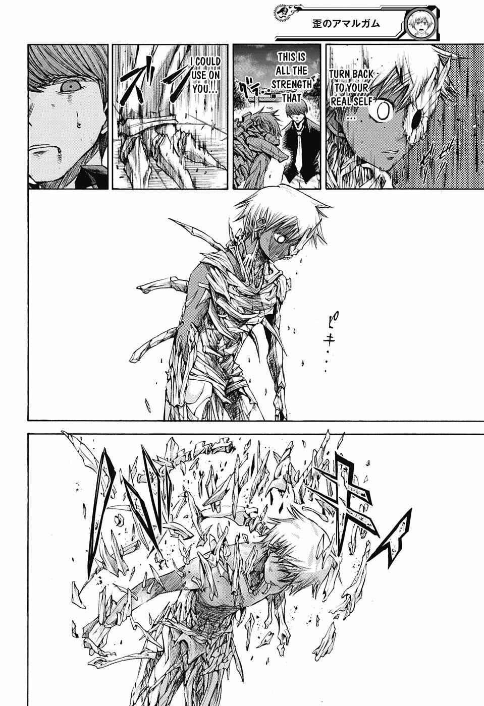 Page 19 Chapter 11 Amalgam of Distortion