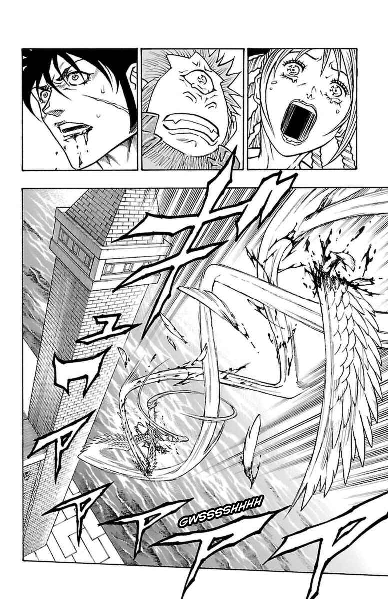 Page 49 Chapter 27 Sunset Rose