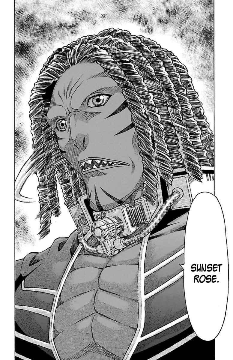 Page 42 Chapter 29 Sunset Rose