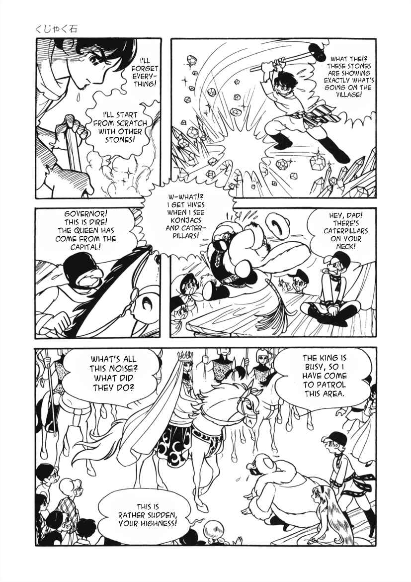 Page 29 Chapter 5 Edelweiss