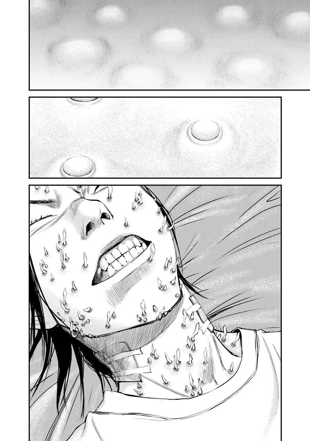 Page 8 Chapter 4 Mushroom