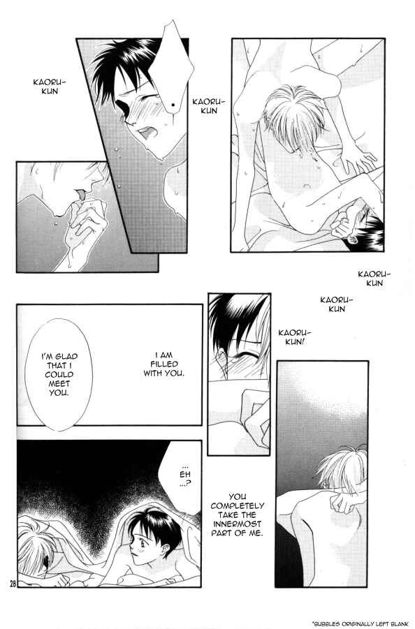 Page 31 Chapter Unknown_0255 Neon Genesis Evangelion - Mind Circle (Doujinshi)