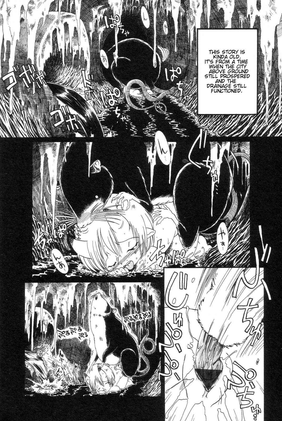 Page 2 Chapter 6 Drainage City