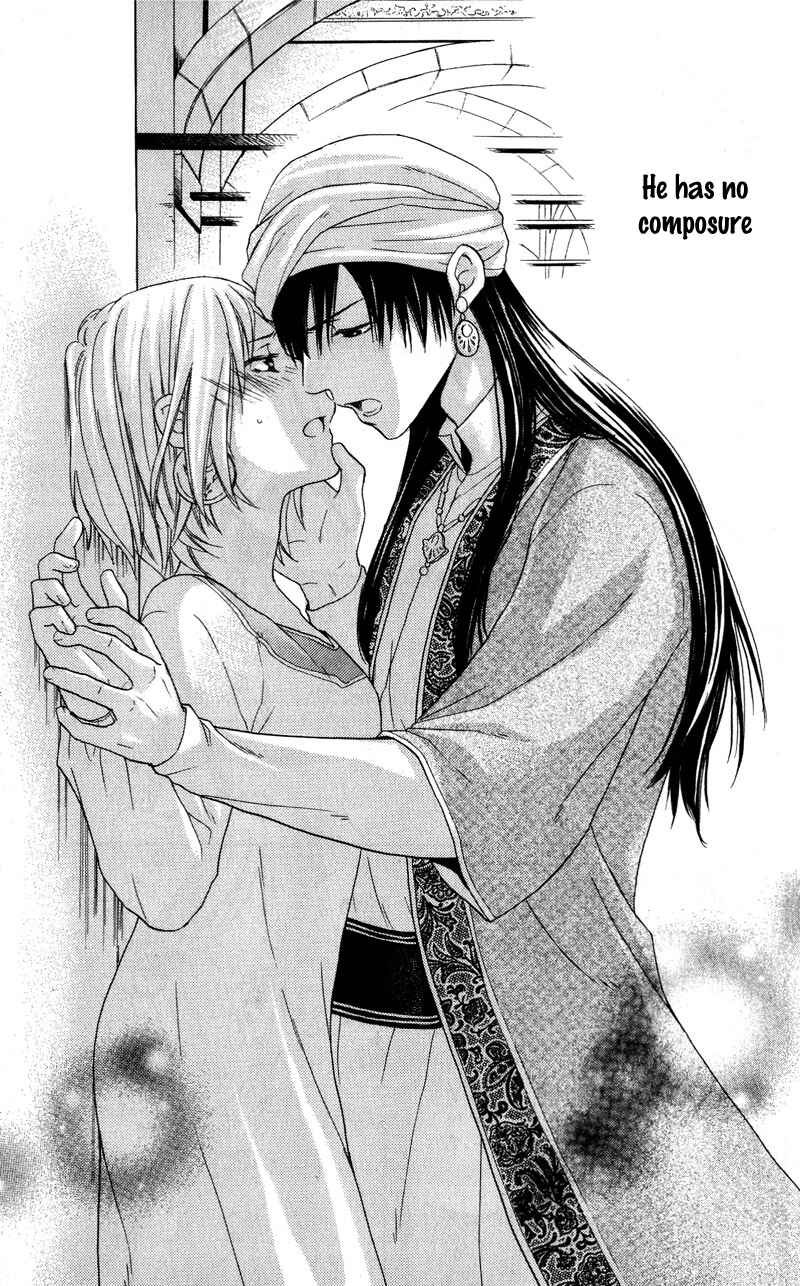 Page 29 Chapter 27 Sabaku no Harem