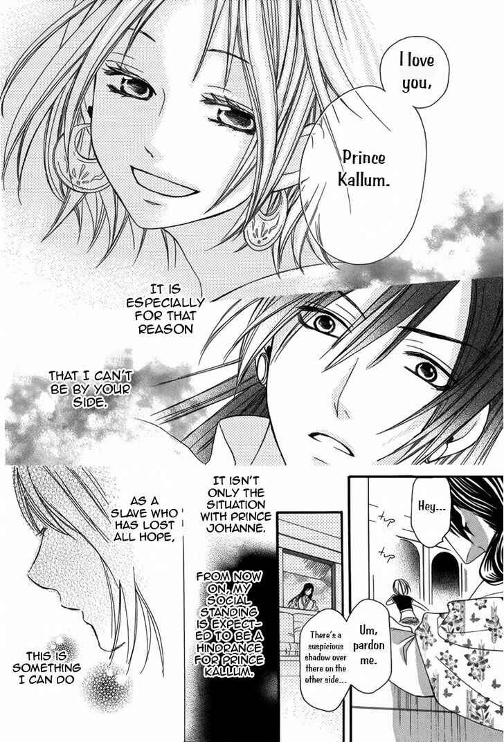 Page 29 Chapter 4 Sabaku no Harem