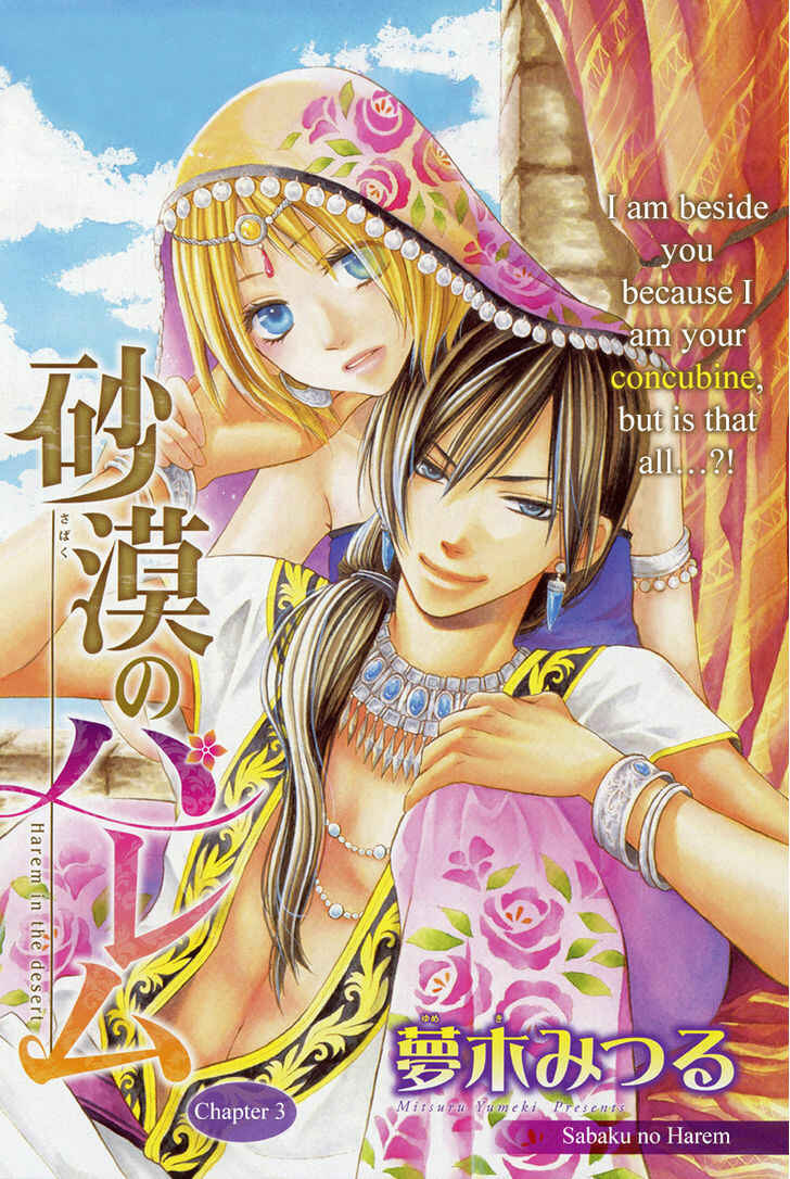 Page 2 Chapter 3 Sabaku no Harem