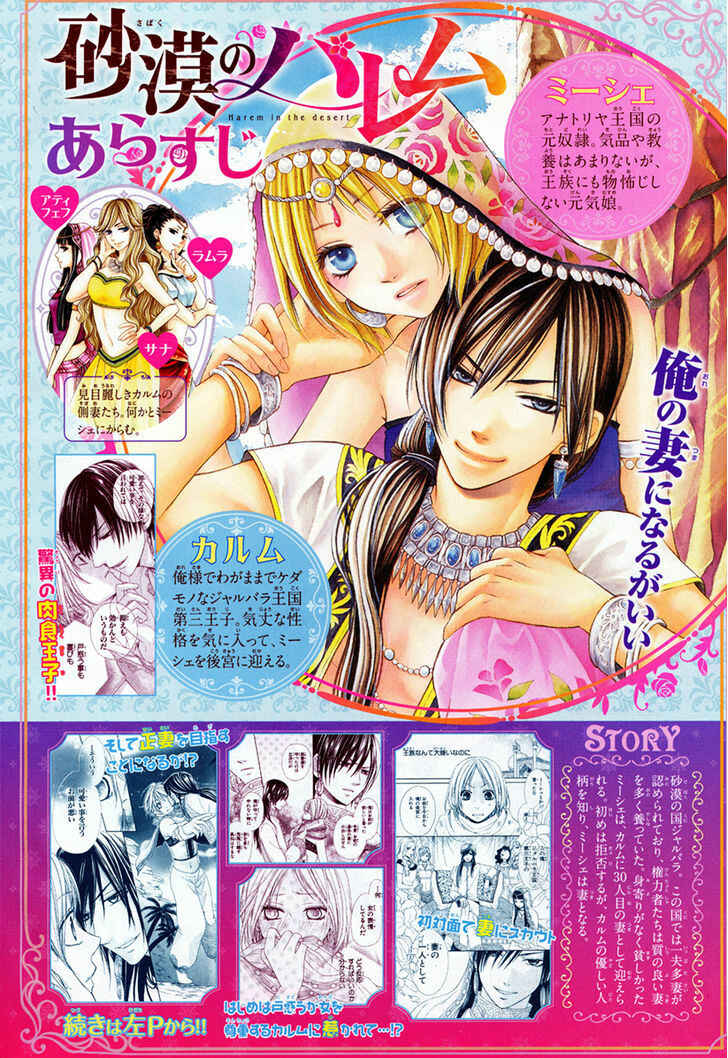 Page 3 Chapter 14 Sabaku no Harem