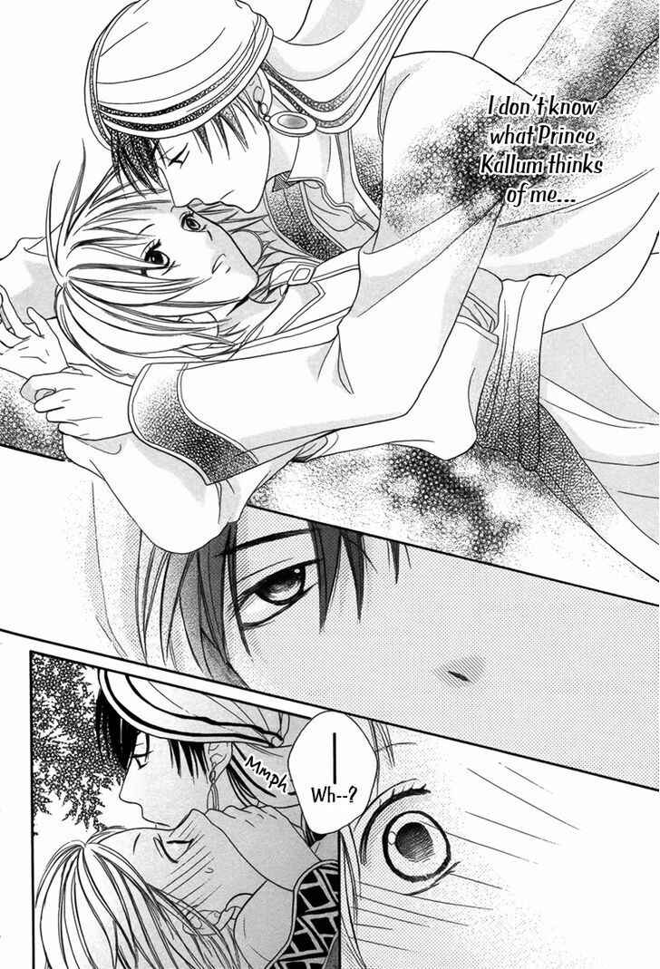 Page 29 Chapter 5 Sabaku no Harem