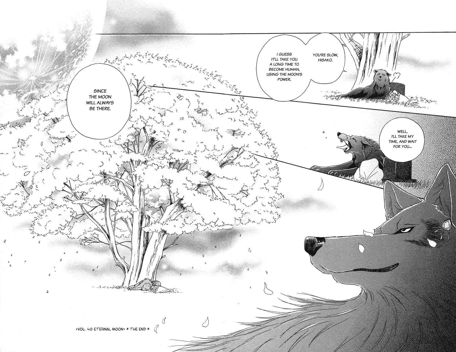 Page 36 Chapter 40 Lets go with Forbidden Love