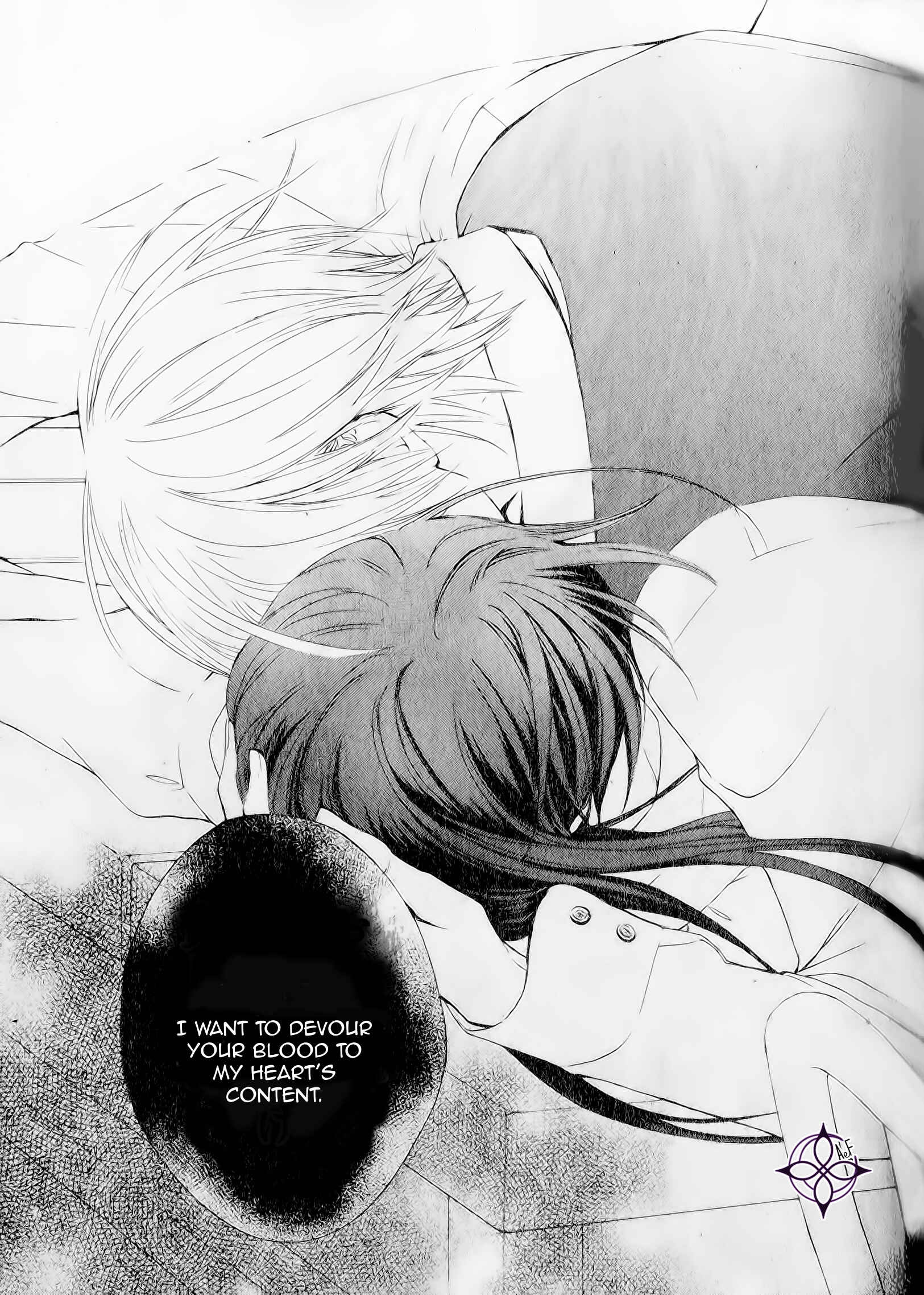 Page 37 Chapter 10 Vampire Knight Memories