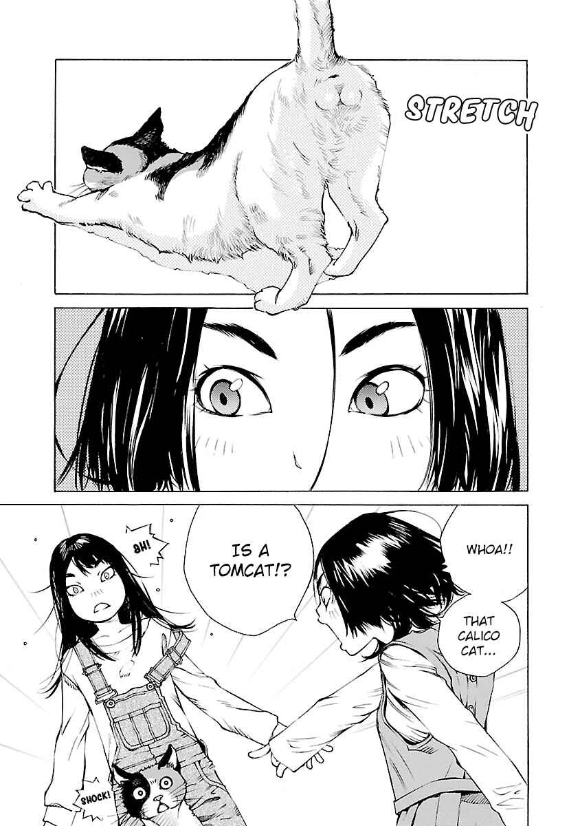 Page 6 Chapter 13 Ao no Shima to Neko Ippiki
