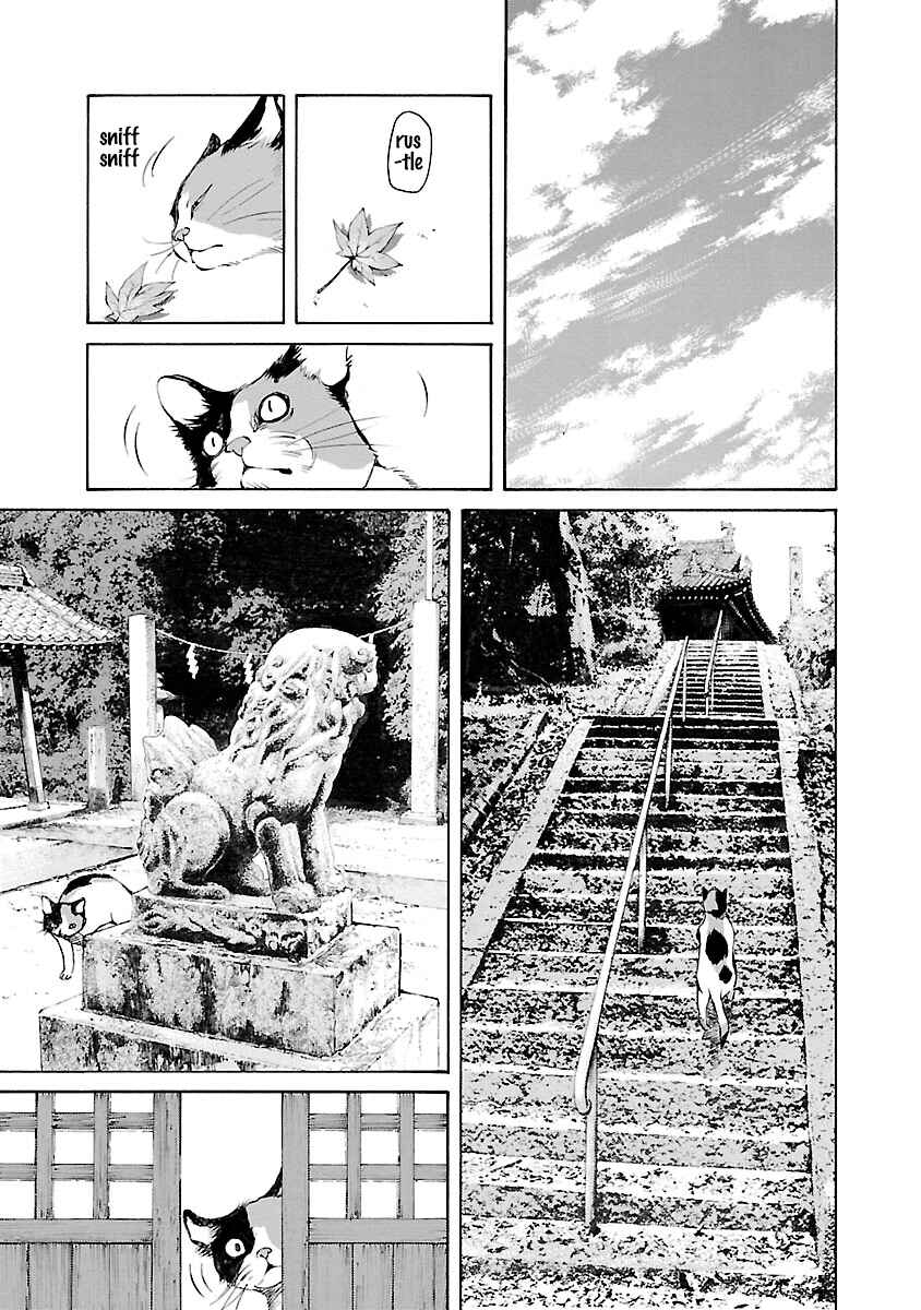 Page 4 Chapter 14.5 Ao no Shima to Neko Ippiki