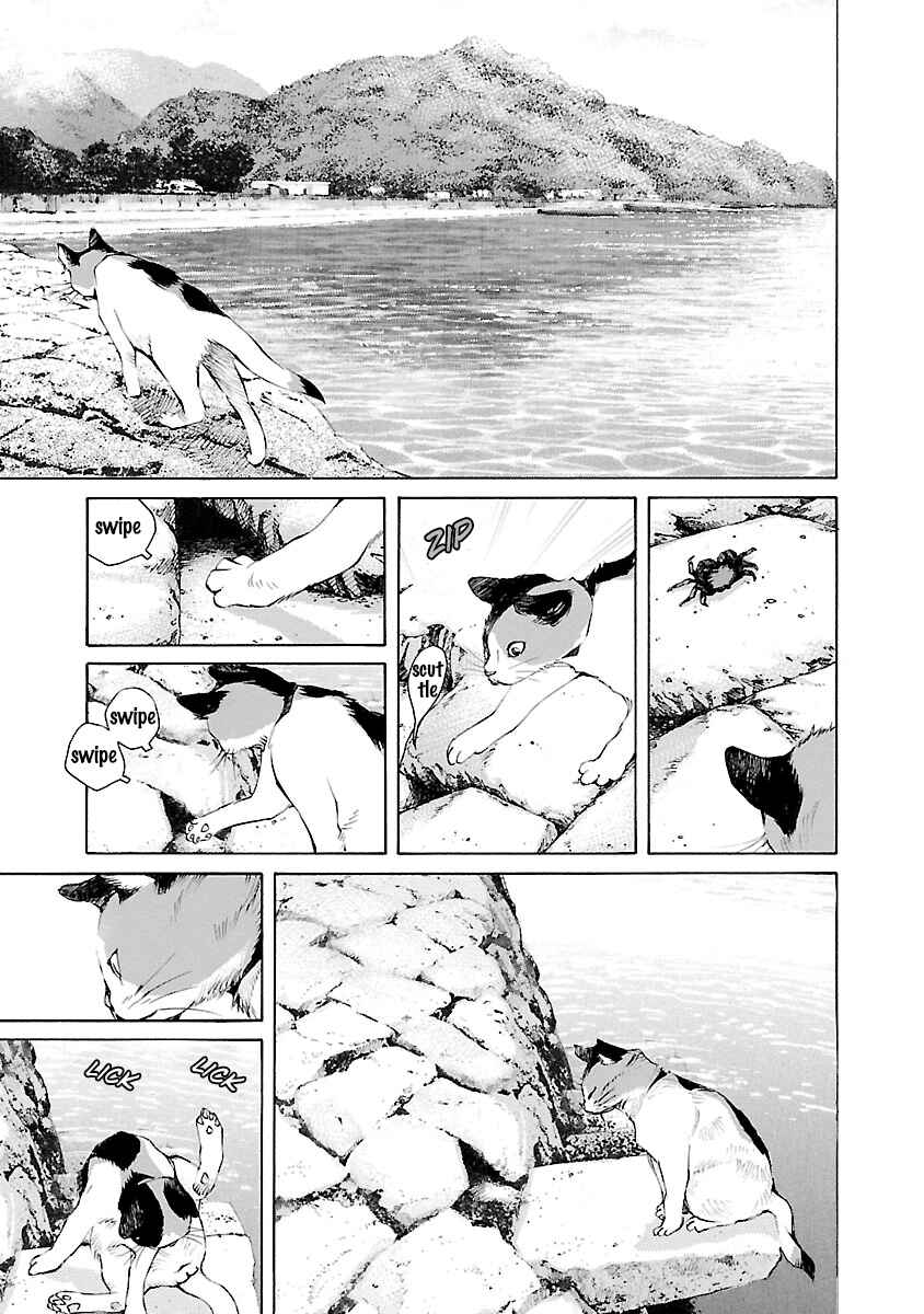 Page 6 Chapter 14.5 Ao no Shima to Neko Ippiki