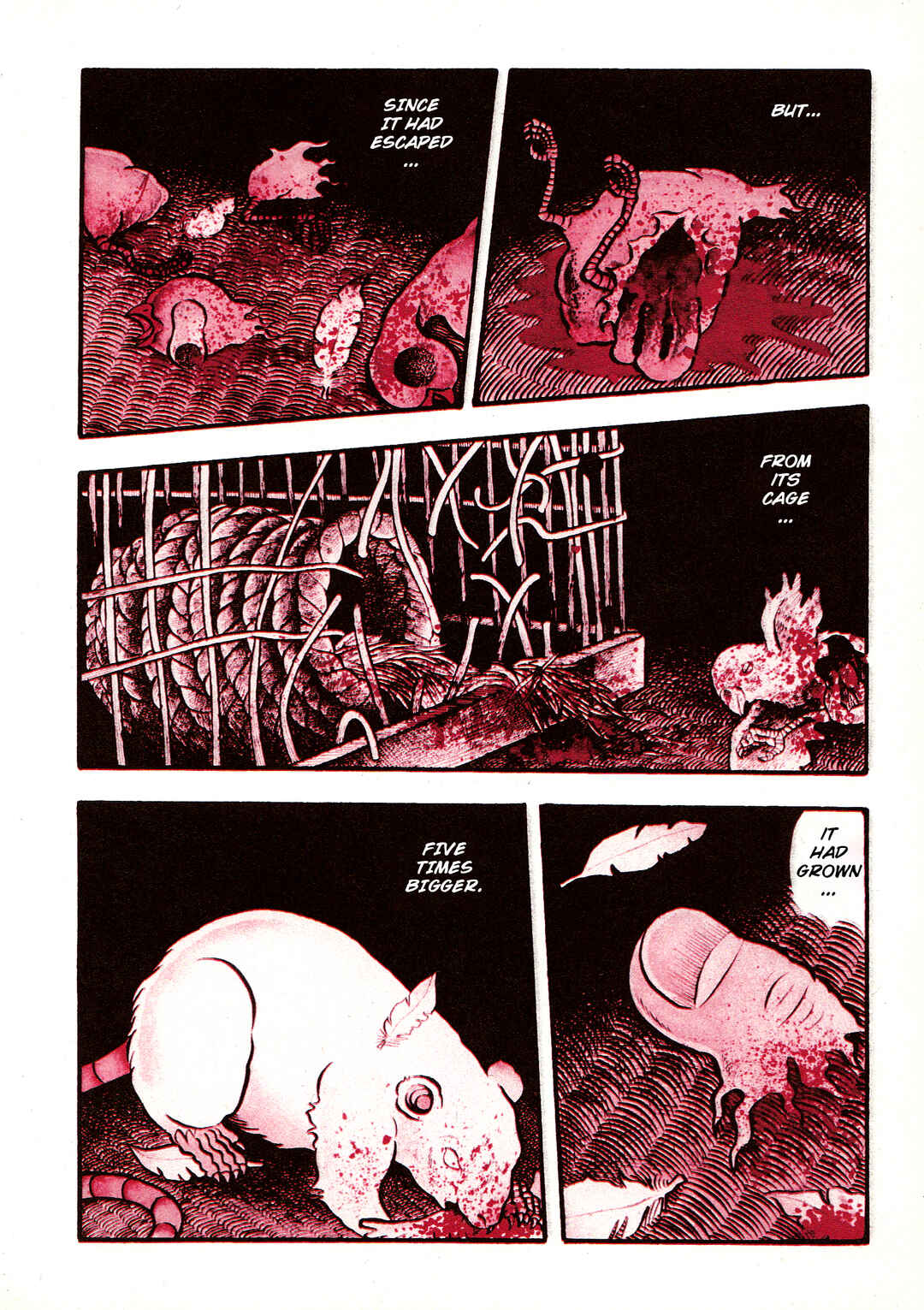 Page 25 Chapter 3 Trauma! Bizarre Manga Collection