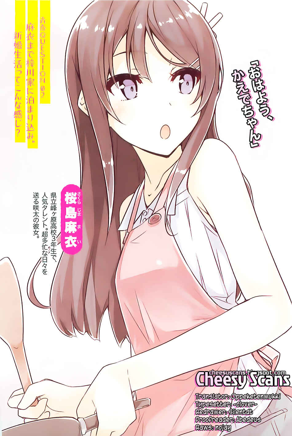 Page 1 Chapter 3 Rascal Does Not Dream of Bunny Girl Senpai