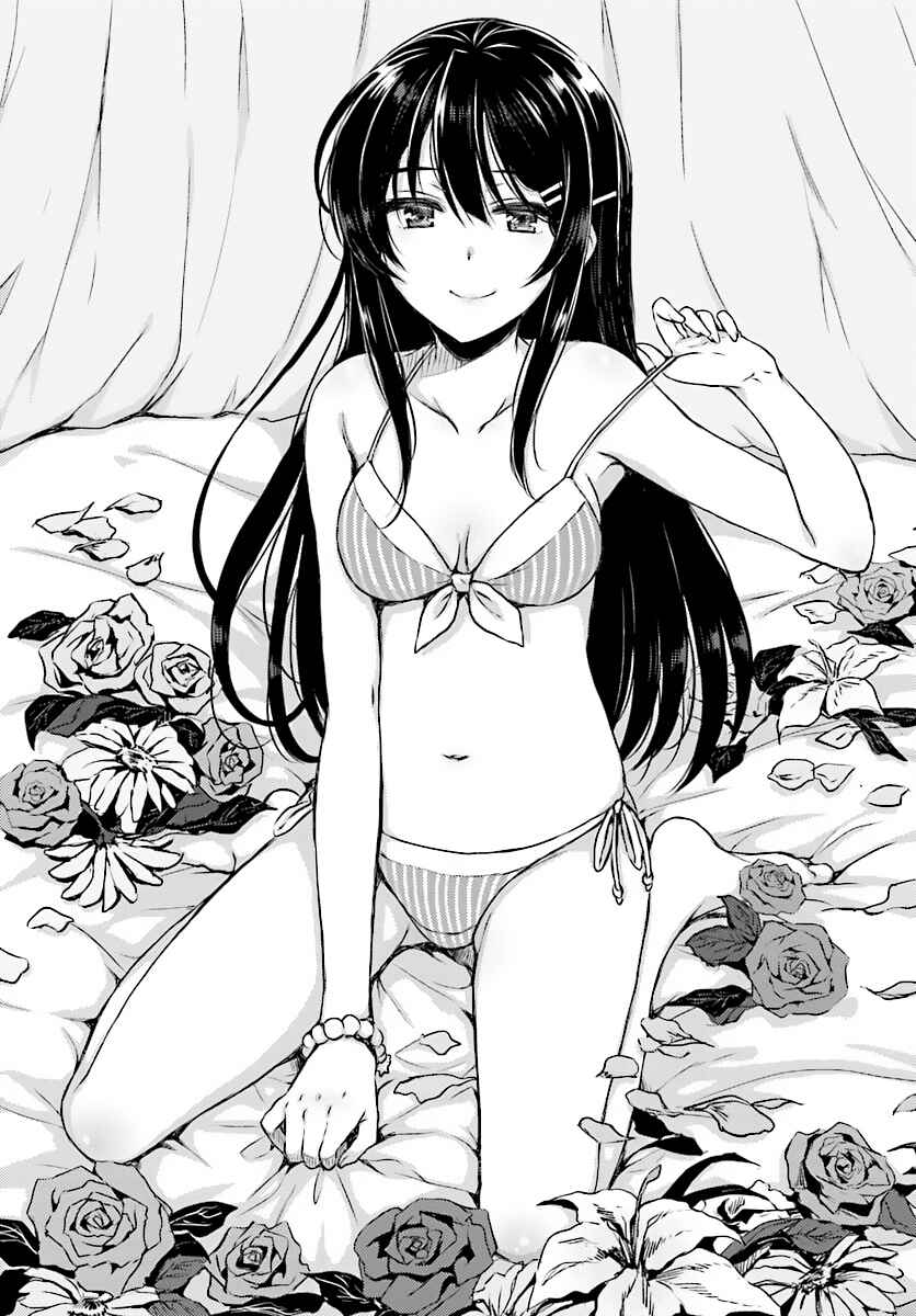 Page 6 Chapter 9 Rascal Does Not Dream of Bunny Girl Senpai