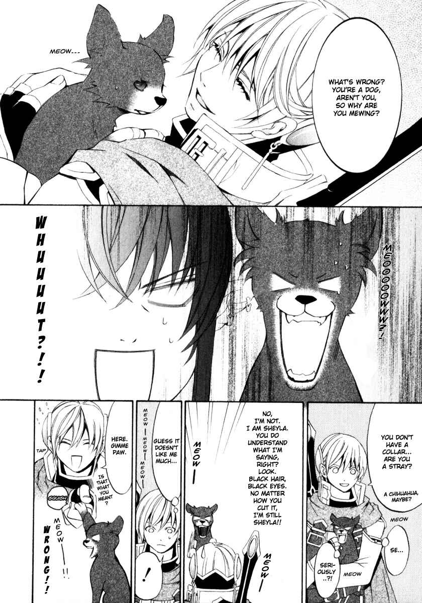 Page 12 Chapter 7 Superior Cross
