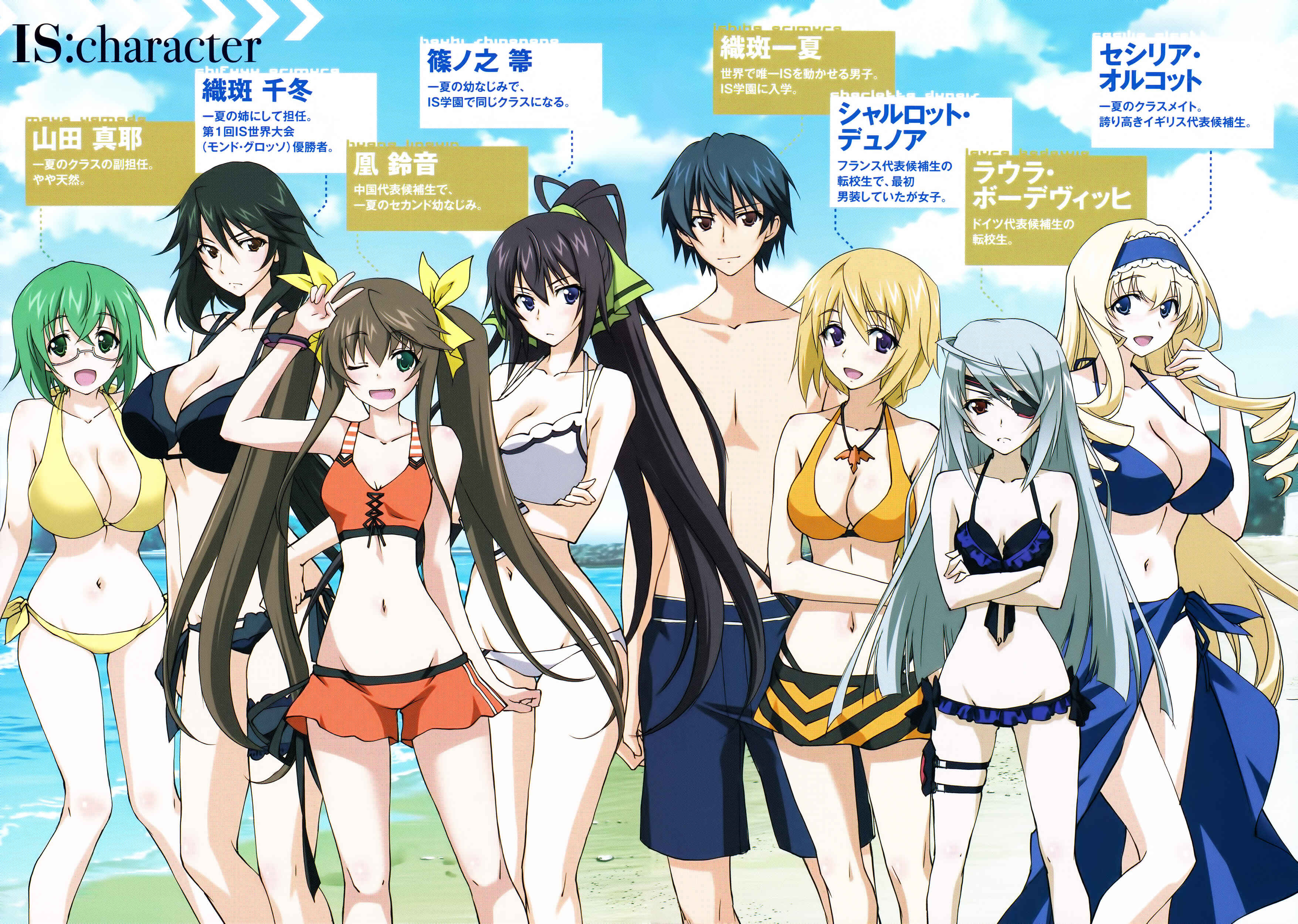 Page 4 Chapter 22 Infinite Stratos