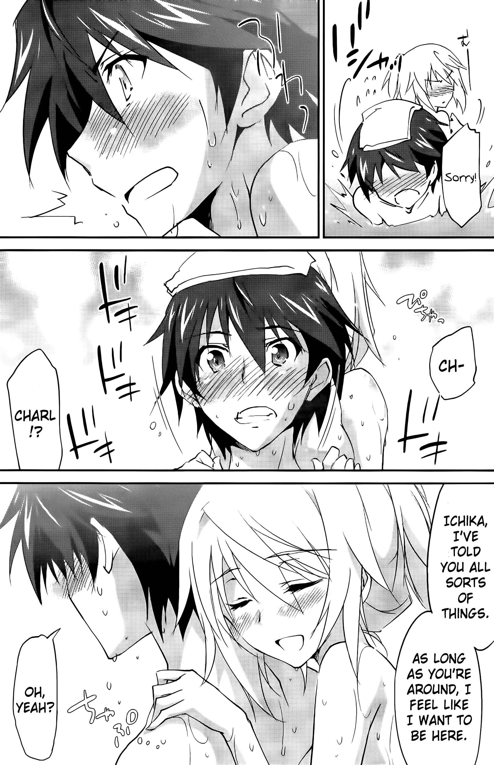 Page 16 Chapter 20 Infinite Stratos