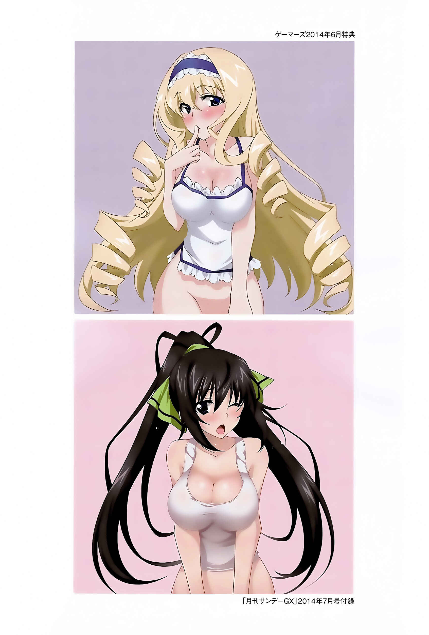 Page 5 Chapter 12 Infinite Stratos