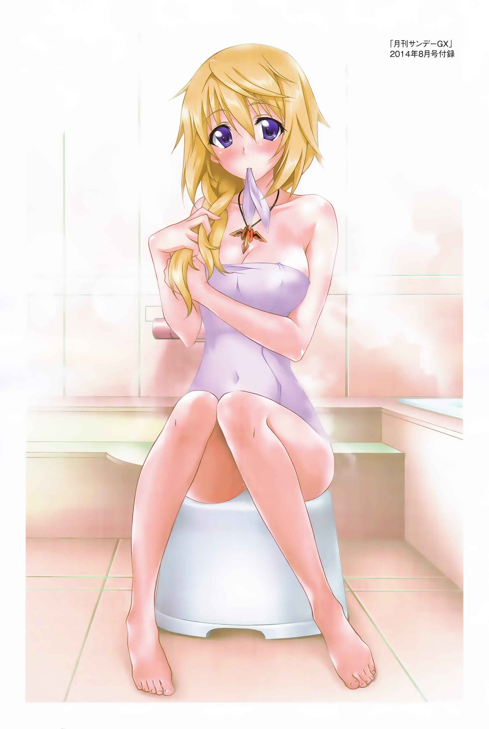 Page 7 Chapter 12 Infinite Stratos