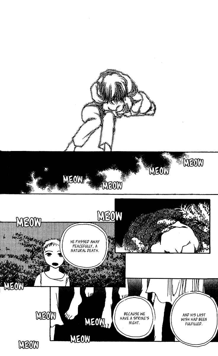 Page 29 Chapter 7 12 Months
