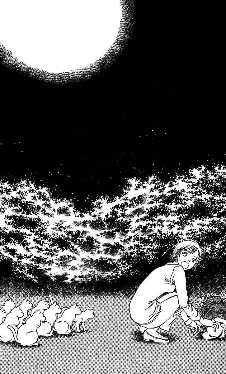 Page 31 Chapter 7 12 Months