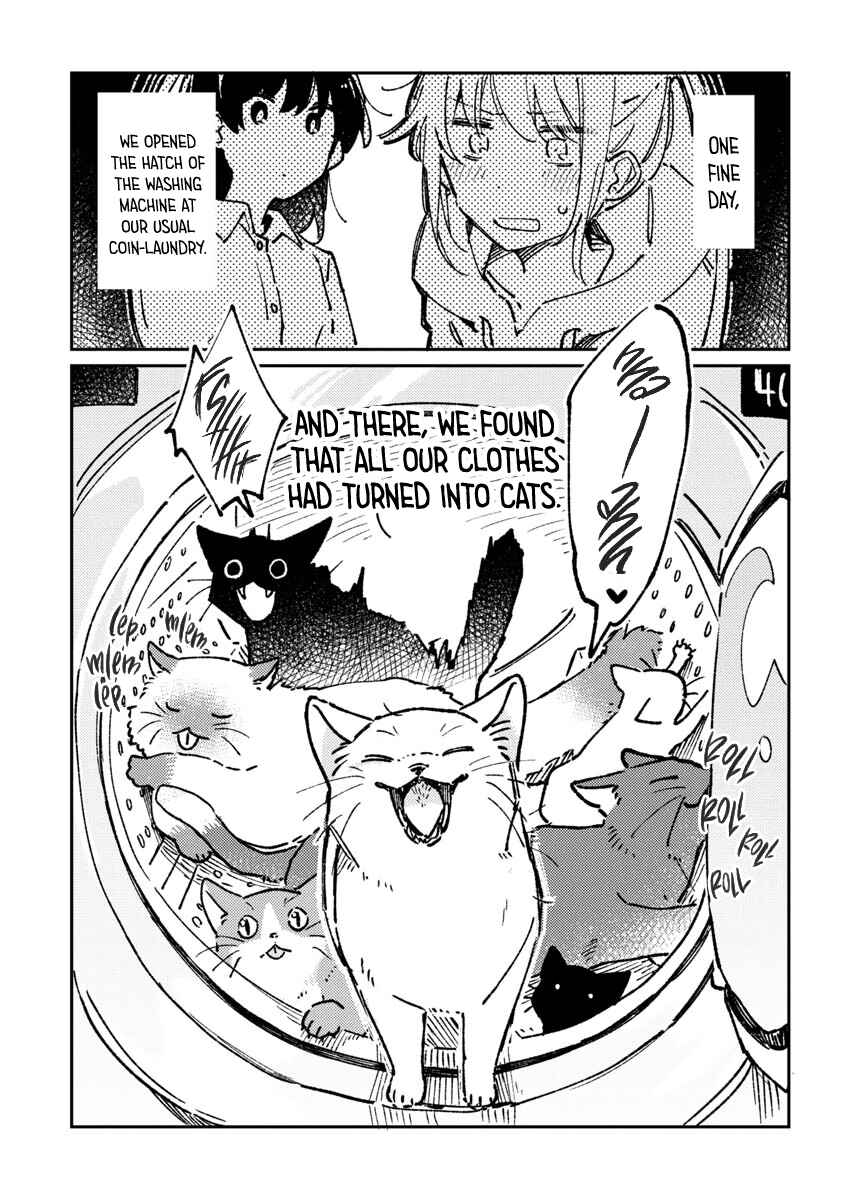 Page 1 Chapter Unknown_3906 Laundry Cat