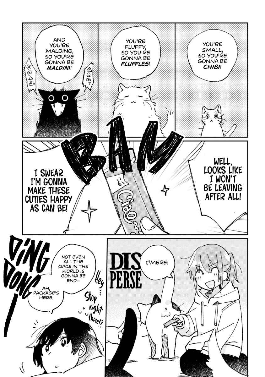 Page 9 Chapter Unknown_3906 Laundry Cat