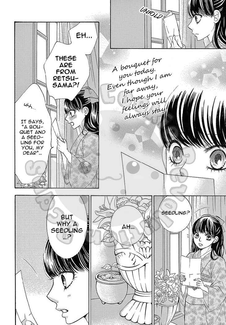 Page 13 Chapter 14 The Rose-Colored Promise