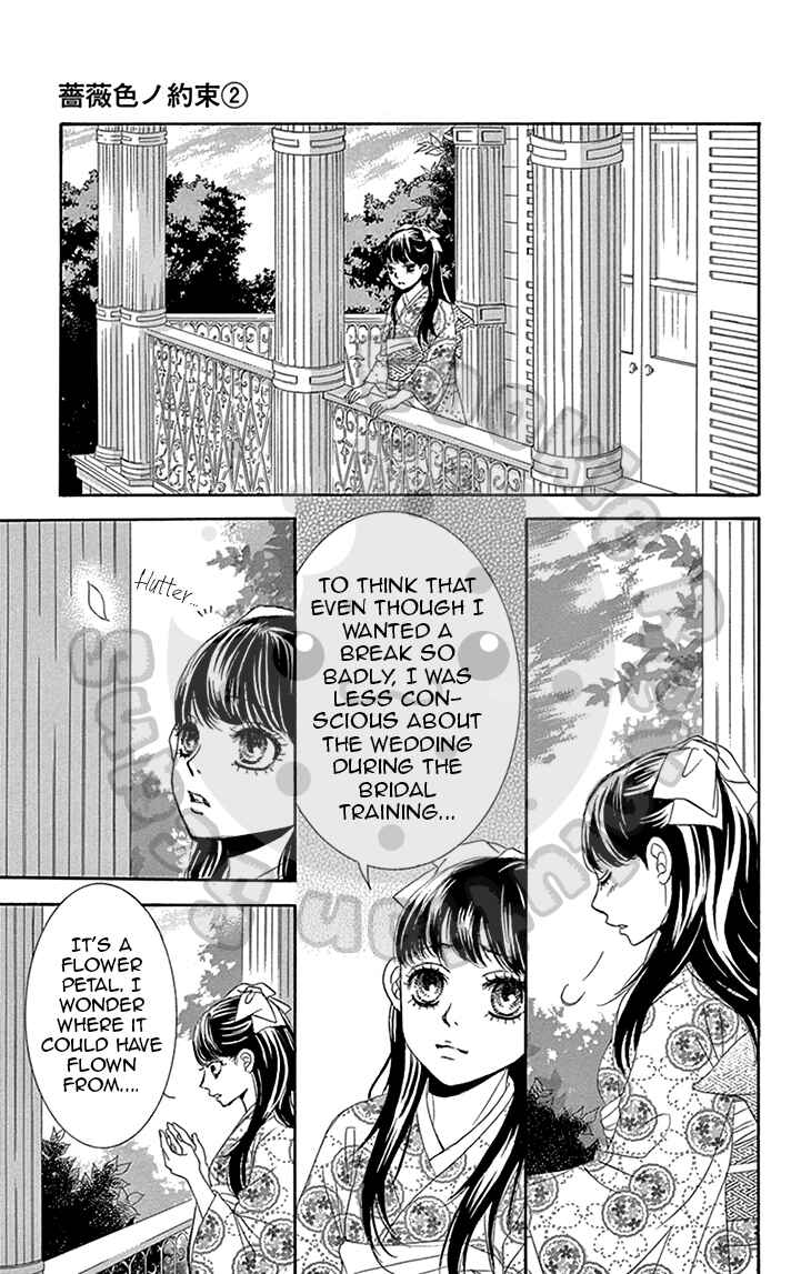 Page 24 Chapter 5 The Rose-Colored Promise
