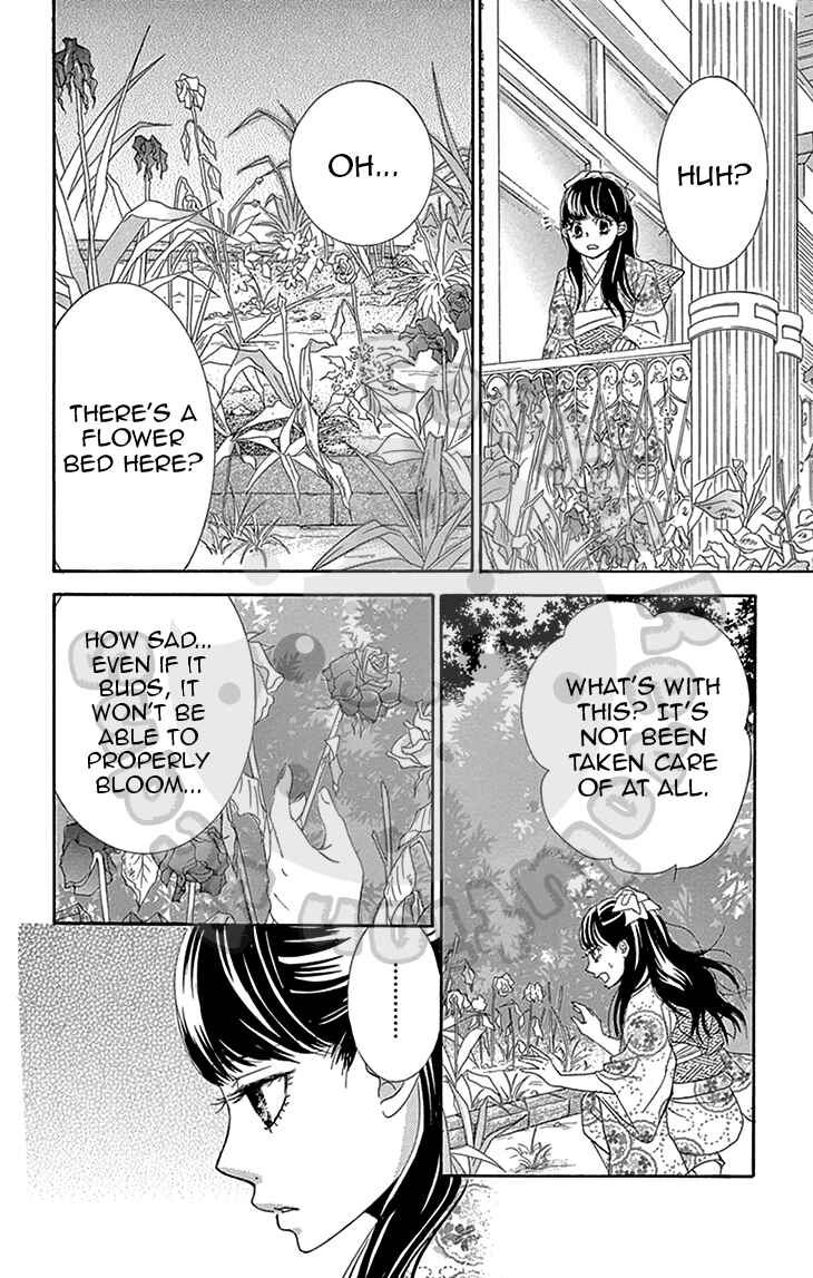 Page 25 Chapter 5 The Rose-Colored Promise