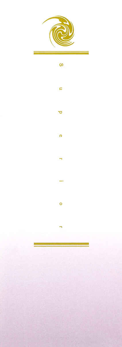 Page 4 Chapter 25 Superior
