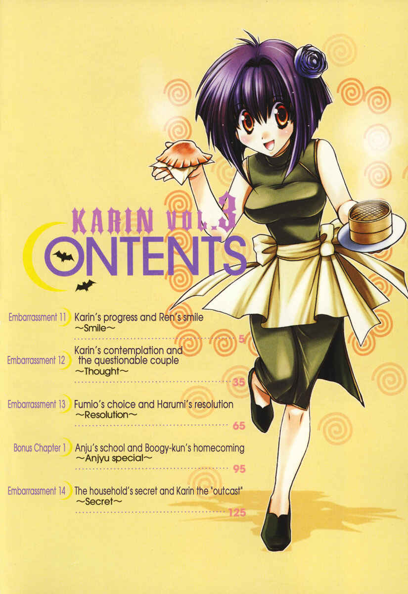 Page 6 Chapter 11 Karin
