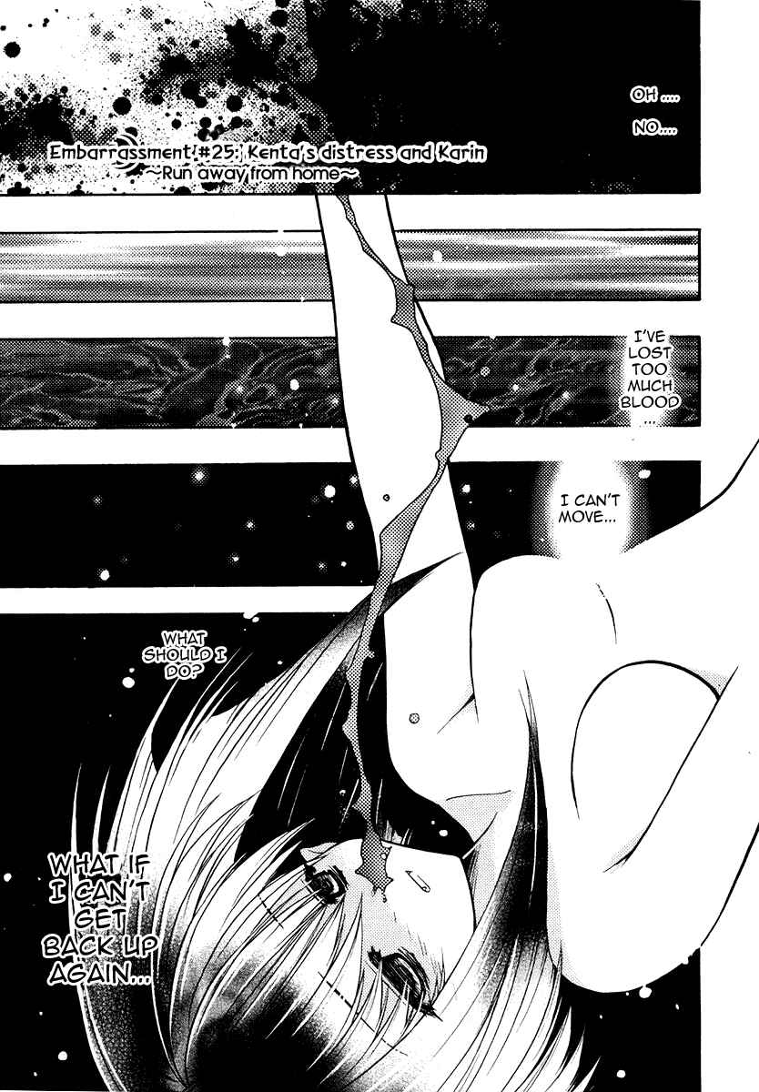 Page 2 Chapter 25 Karin