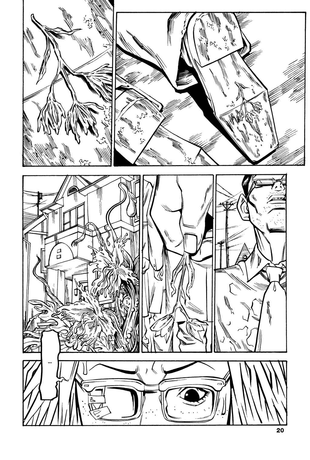 Page 19 Chapter 41 Soil