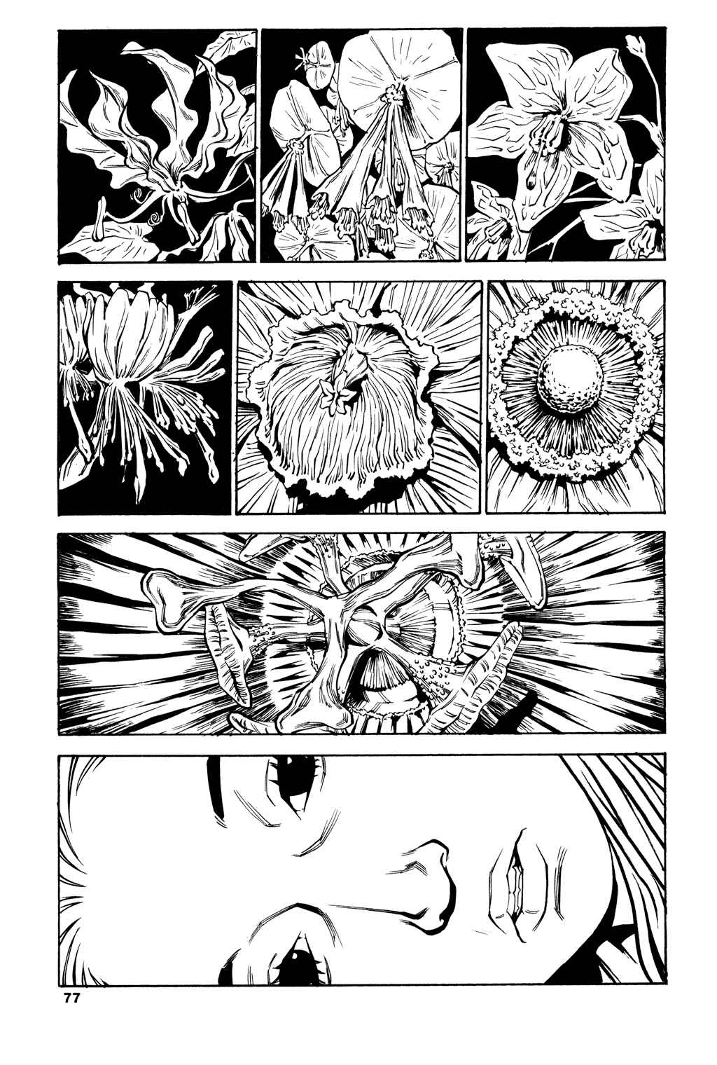 Page 12 Chapter 43 Soil