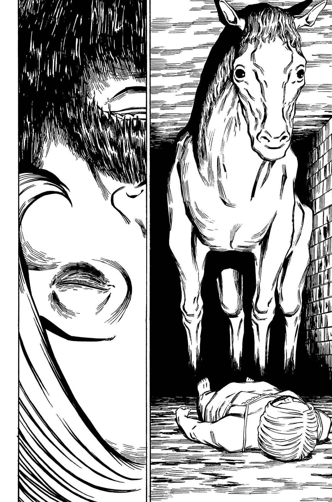 Page 19 Chapter 88 Soil