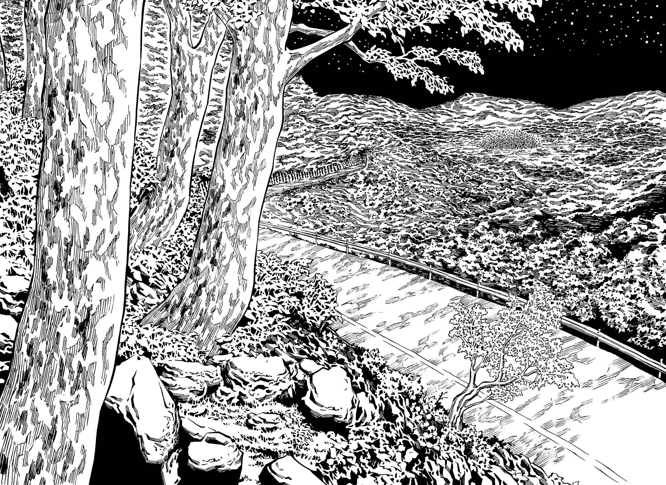 Page 23 Chapter 88 Soil