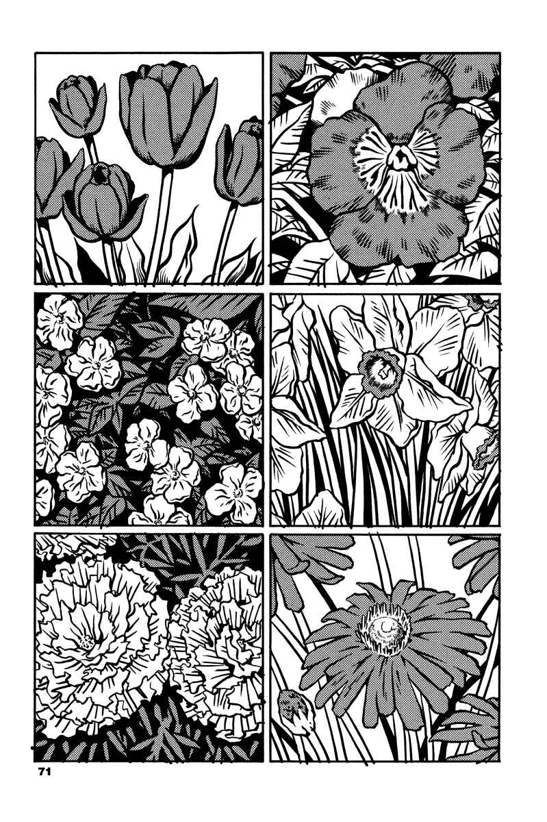 Page 2 Chapter 2 Soil