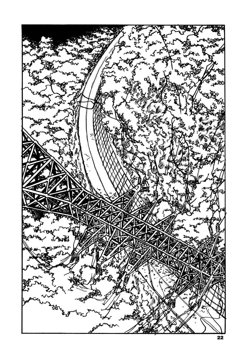 Page 19 Chapter 0 Soil