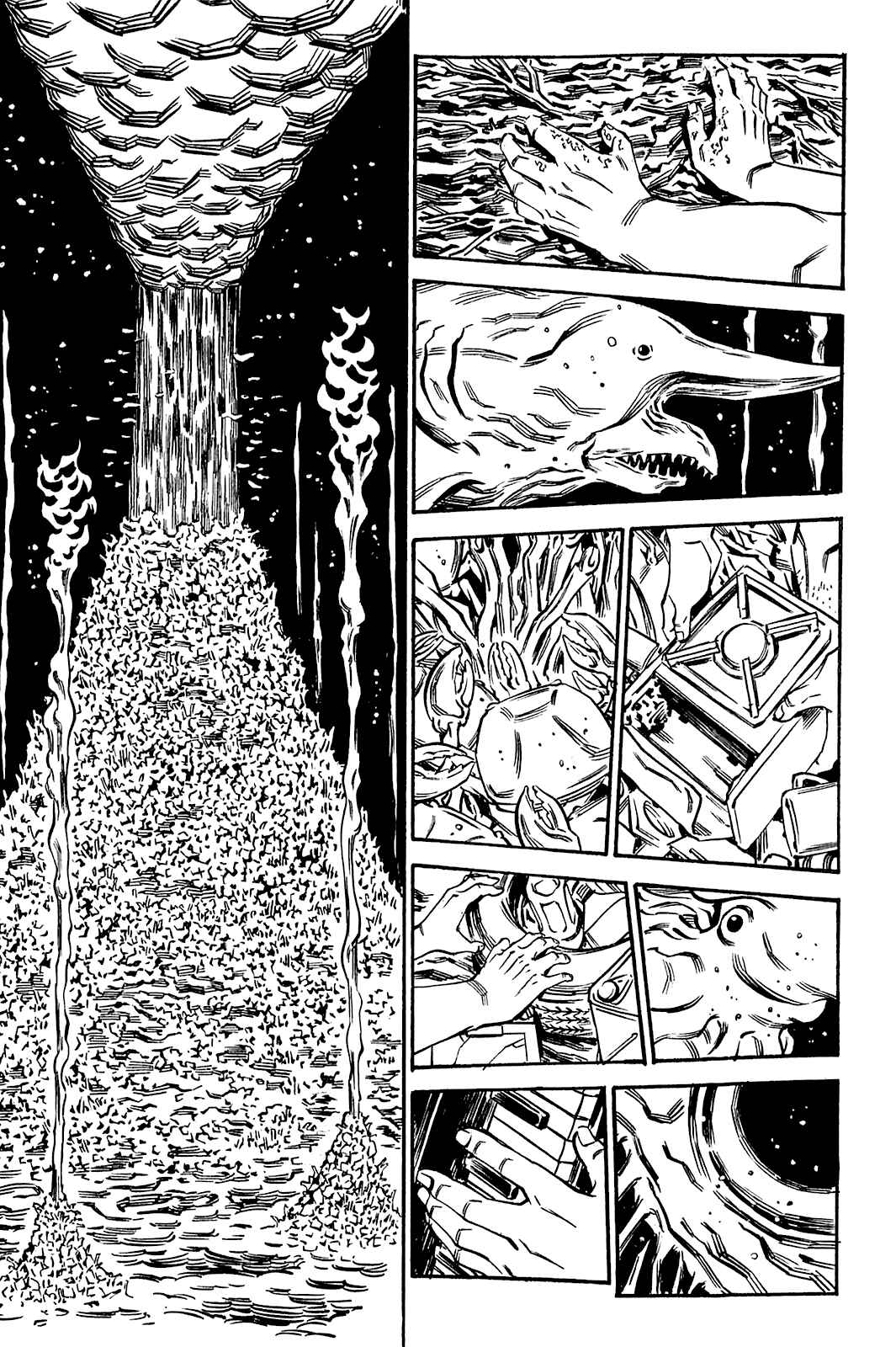Page 6 Chapter 74 Soil