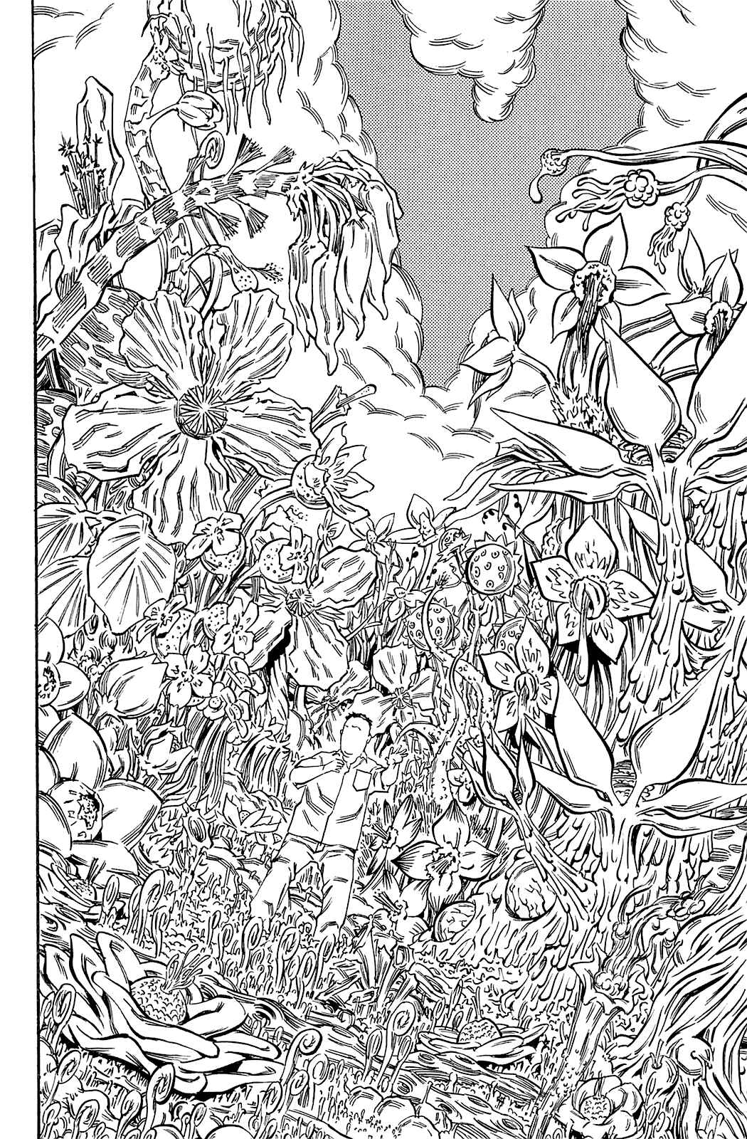 Page 15 Chapter 71 Soil
