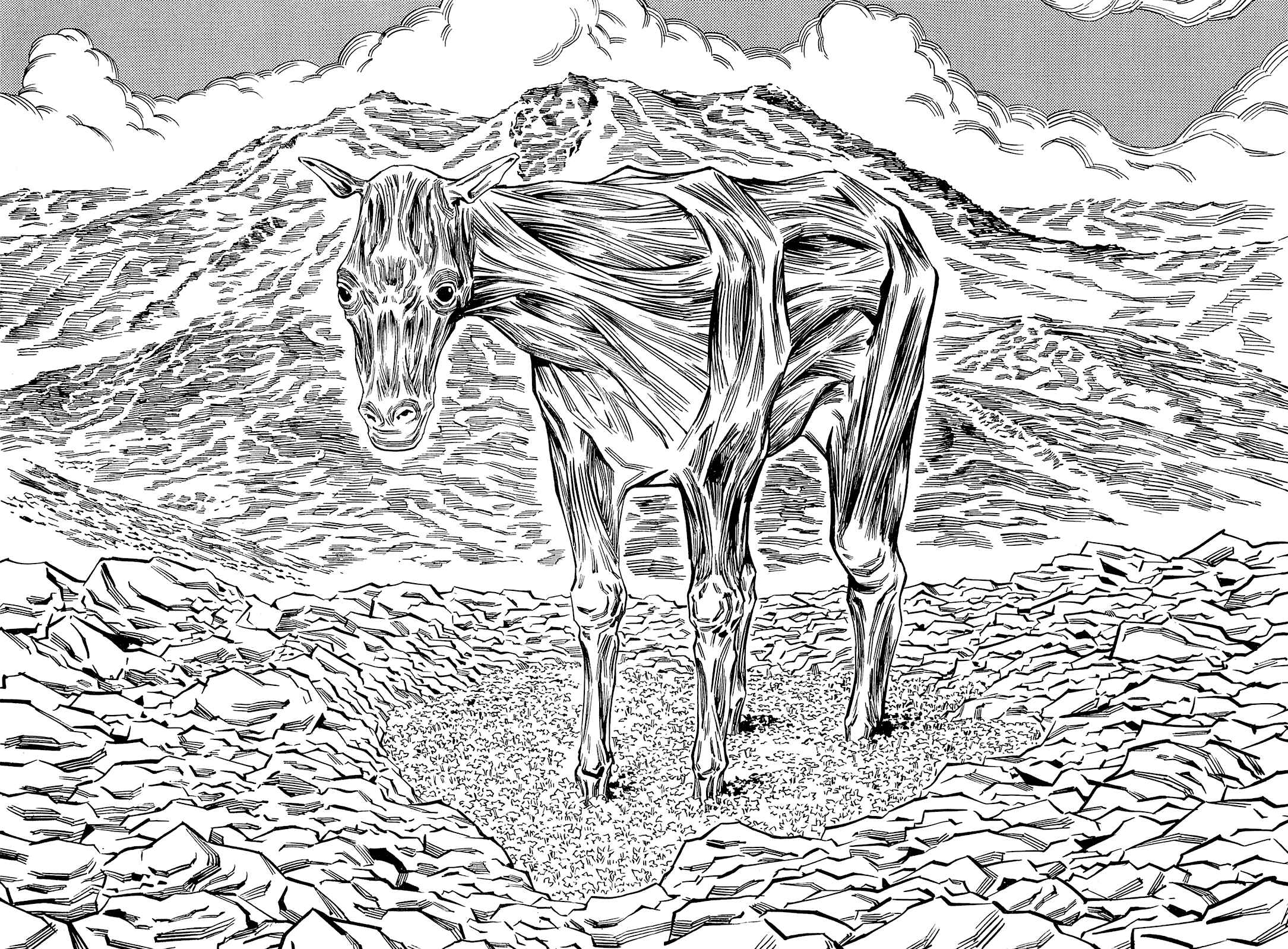 Page 9 Chapter 69 Soil