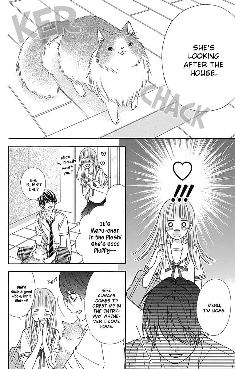 Page 17 Chapter 41 Tsubasa to Hotaru