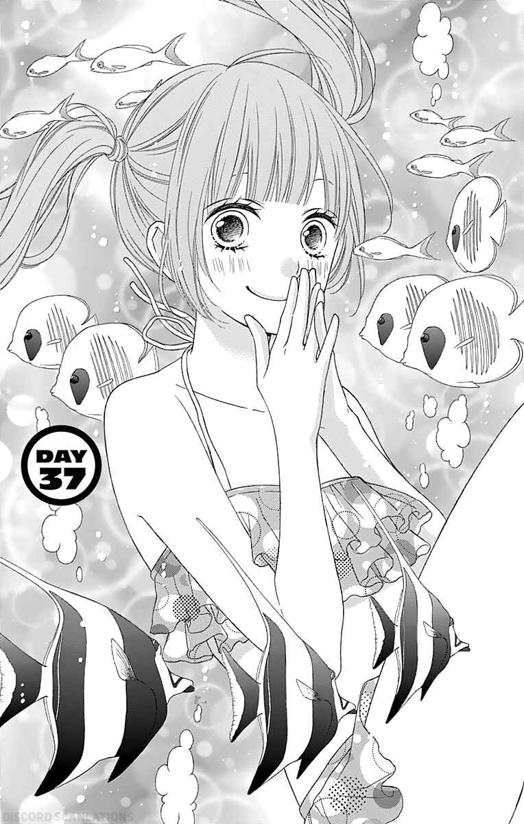Page 3 Chapter 37 Tsubasa to Hotaru